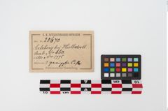 Etiketten zu Bronzerippenziste (NHMW-PRAE-025670)